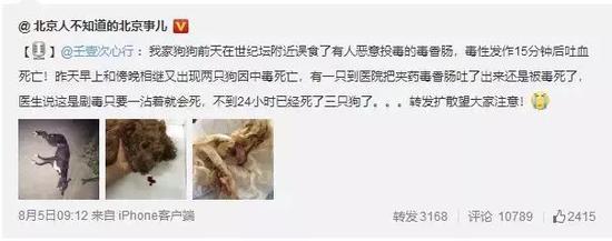 ⭐一手包售后
Apple一手源头号
哪里买最省心